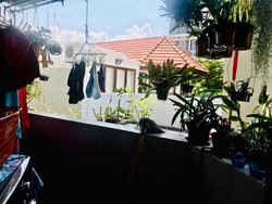 Knox View (D15), Apartment #223581021